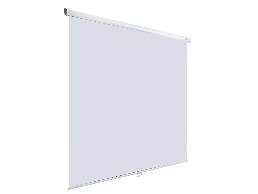 [LEP-100101] Настенный экран Lumien Eco Picture 2