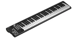 MIDI клавиатура Icon Artist 61X