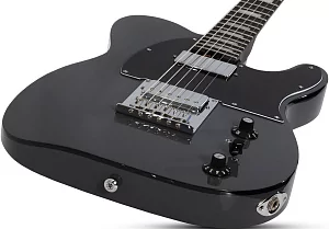 Электрогитара SCHECTER PT EX DORIAN GRAY DG 5