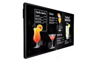 Профессиональный дисплей Philips 65BDL3117P/00