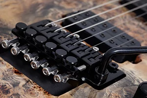 Электрогитара SCHECTER C-6 FR PRO ARB 4