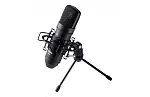 Микрофон конденсаторный Tascam TM-80 (B)