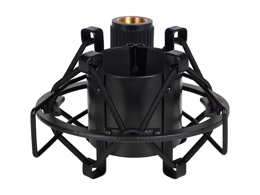 Микрофон конденсаторный Marantz Professional MPM-1000 10