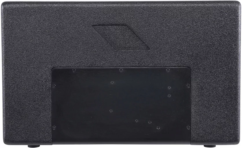 Активный сценический монитор PROEL WD12AV2 2