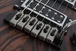 Электрогитара SCHECTER C-1 EXOTIC TREM EBONY 10