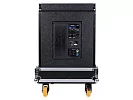 Сабвуфер Intrend ILS-PAC-S18A-FC 16
