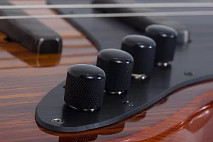 Бас-гитара SCHECTER J-4 EXOTIC FVSB 5