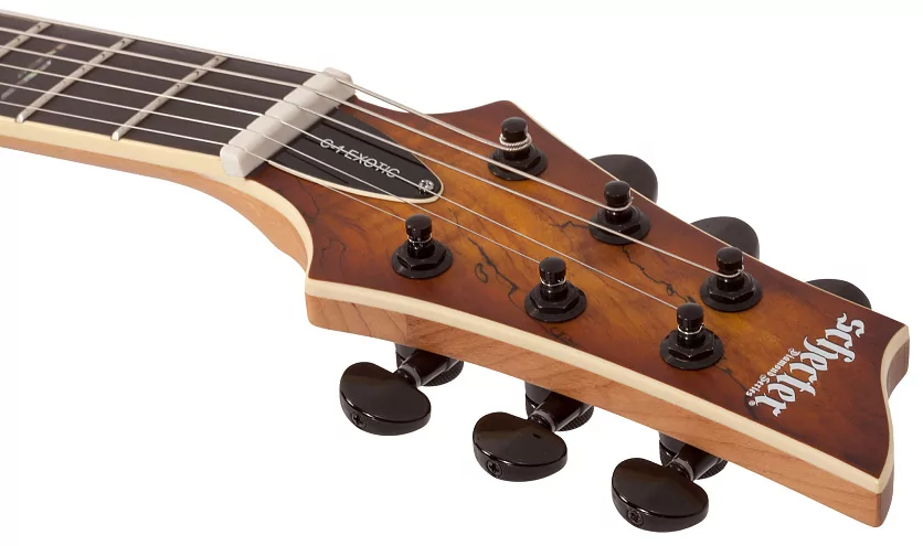 Электрогитара SCHECTER C-1 EXOTIC SPALTED MAPLE SNVB 11