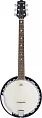 Банджо STAGG BJM-30 G