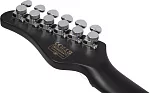 Электрогитара SCHECTER PT EX DORIAN GRAY DG 9