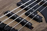 Бас-гитара SCHECTER MODEL-T 5 EXOTIC BLACK LIMBA BL 8