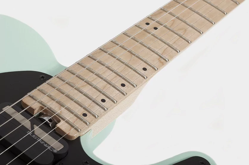 Электрогитара SCHECTER SUN VALLEY SUPER SHREDDER PT-FR-S SFG 4