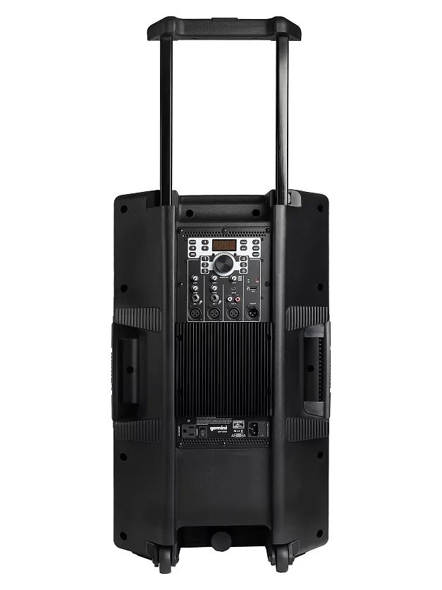 Акустическая система Gemini GSP-5500 12