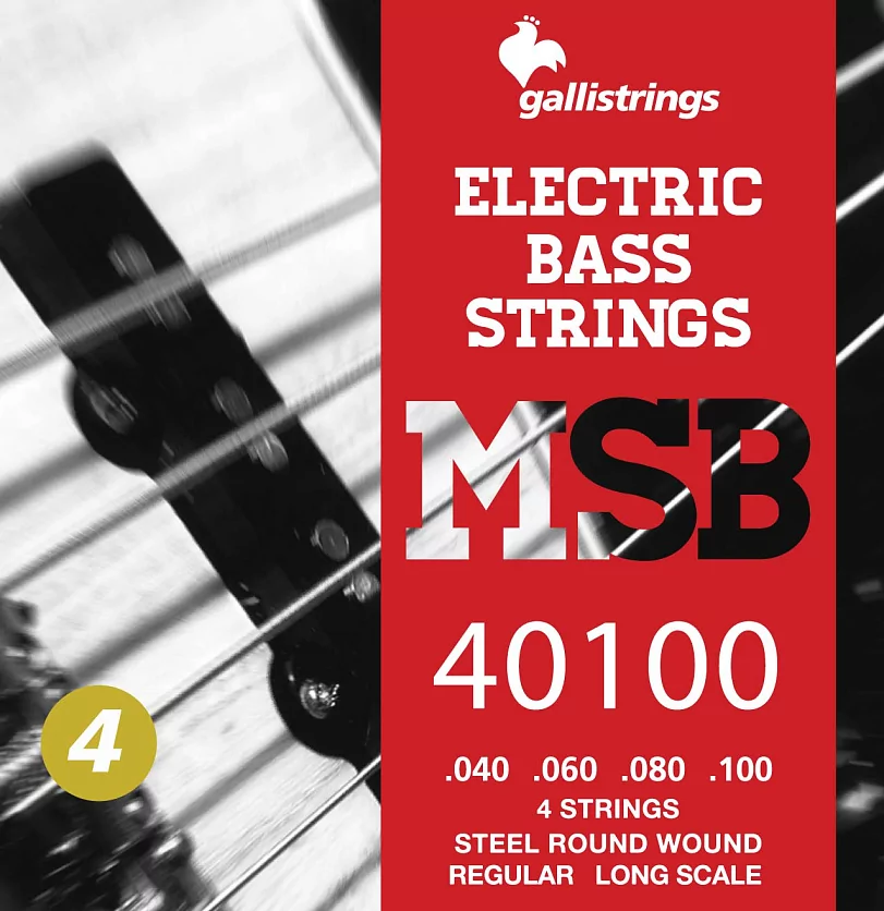 Комплект струн GALLI STRINGS MSB40100