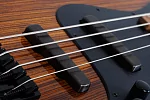Бас-гитара SCHECTER J-4 EXOTIC FVSB 8