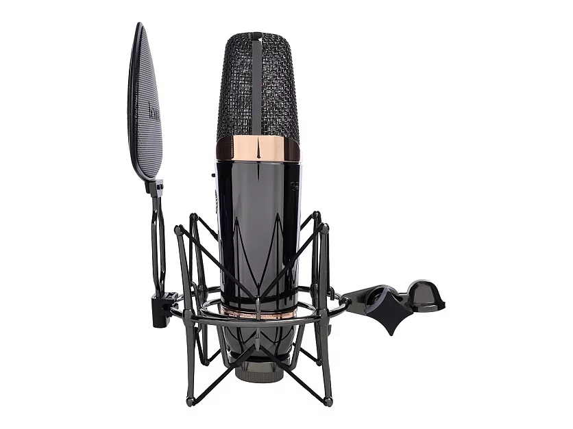 Профессиональный студийный ламповый микрофон Icon Space 67 12