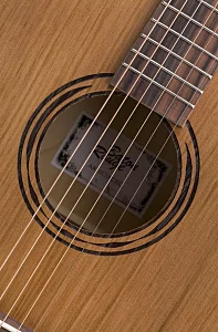Электроакустическая гитара BATON ROUGE AR21C/ACEC 3