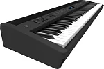 Портативное цифровое пианино ROLAND FP-60X-BK 2