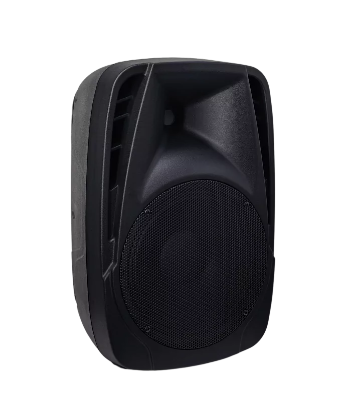 Акустическая система Axelvox LoudStage XIVA PA10