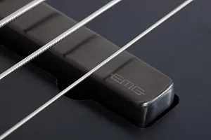 Бас-гитара SCHECTER J-4 EXOTIC FVSB 6