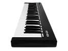 MIDI клавиатура Axelvox KEY49j Black 9