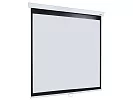 [LMP-100103] Настенный экран Lumien Master Picture 2