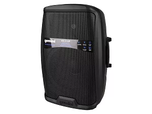 Акустическая система Gemini AS-2112P 4