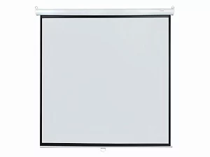 [LEP-100110] Настенный экран Lumien Eco Picture