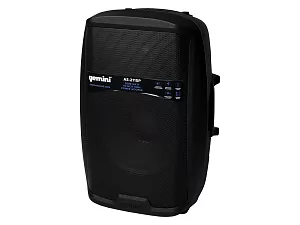 Акустическая система Gemini AS-2115P 4