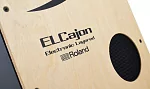 Гибридный кахон ROLAND EC-10 3