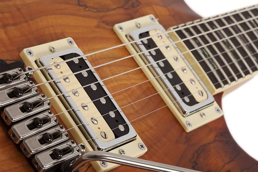 Электрогитара SCHECTER C-1 EXOTIC SPALTED MAPLE SNVB 6