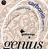 Комплект струн GALLI STRINGS GR90