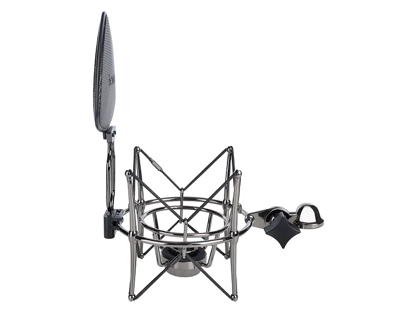 Профессиональный студийный ламповый микрофон Icon Space 67 40