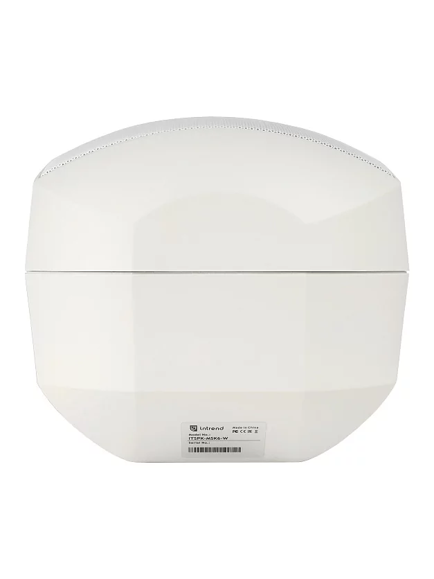 Акустическая система Intrend ITSPK-MSK6-W 10