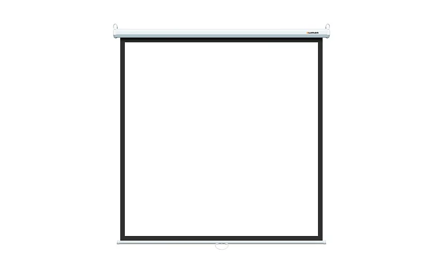 [LEP-100110] Настенный экран Lumien Eco Picture