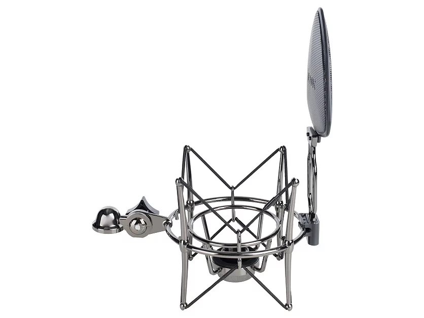 Профессиональный студийный ламповый микрофон Icon Space 67 41