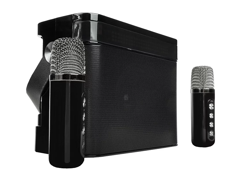 Переносная караоке система iconBIT K902B 2