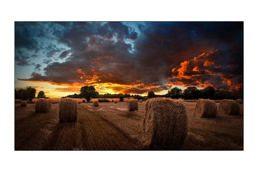 Samsung  VM55T-U -  полное погружение в контент