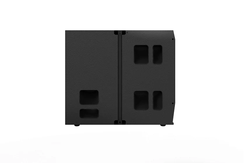 Сабвуфер DS Proaudio TAURA C-sub 18 2