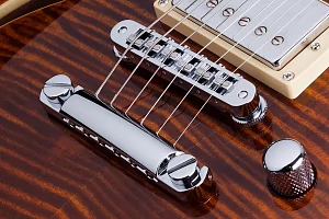 Электрогитара SCHECTER C-1 E/A CAT'S EYE 3