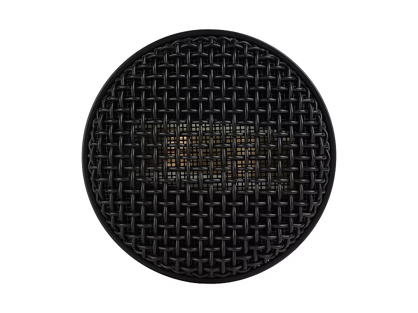 Микрофон Antelope Audio Axino Synergy Core 19