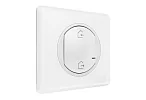 Главный беспроводной выключатель "Я дома/Я вне дома". Legrand Celiane with NETATMO
