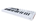 MIDI клавиатура Arturia MiniLAB 3 37 White 3