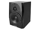 Акустическая система (студийный монитор) Dynaudio LYD 5 B/B 3