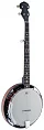 Банджо STAGG BJW-24 DL