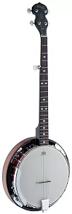 Банджо STAGG BJW-24 DL