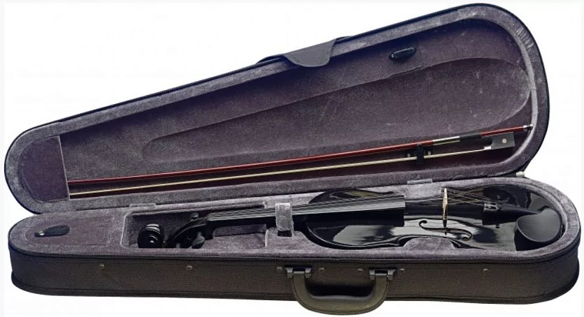 Скрипка STAGG VN-4/4 TBK 2