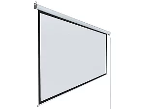 [LEC-100115] Экран с электроприводом Lumien Eco Control 2