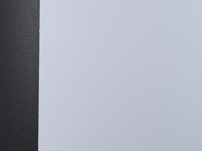 [LMV-100113] Экран на штативе Lumien Master View 20