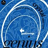 Комплект струн GALLI STRINGS GR60